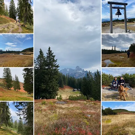 Appartement Elisabeth *