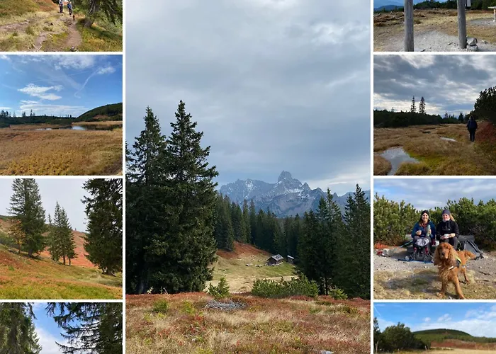 Apartament Elisabeth *